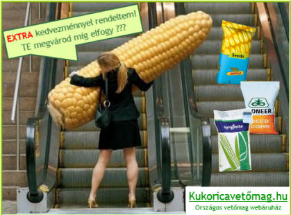 KukoricaVetomag.hu Kft. - Raktár